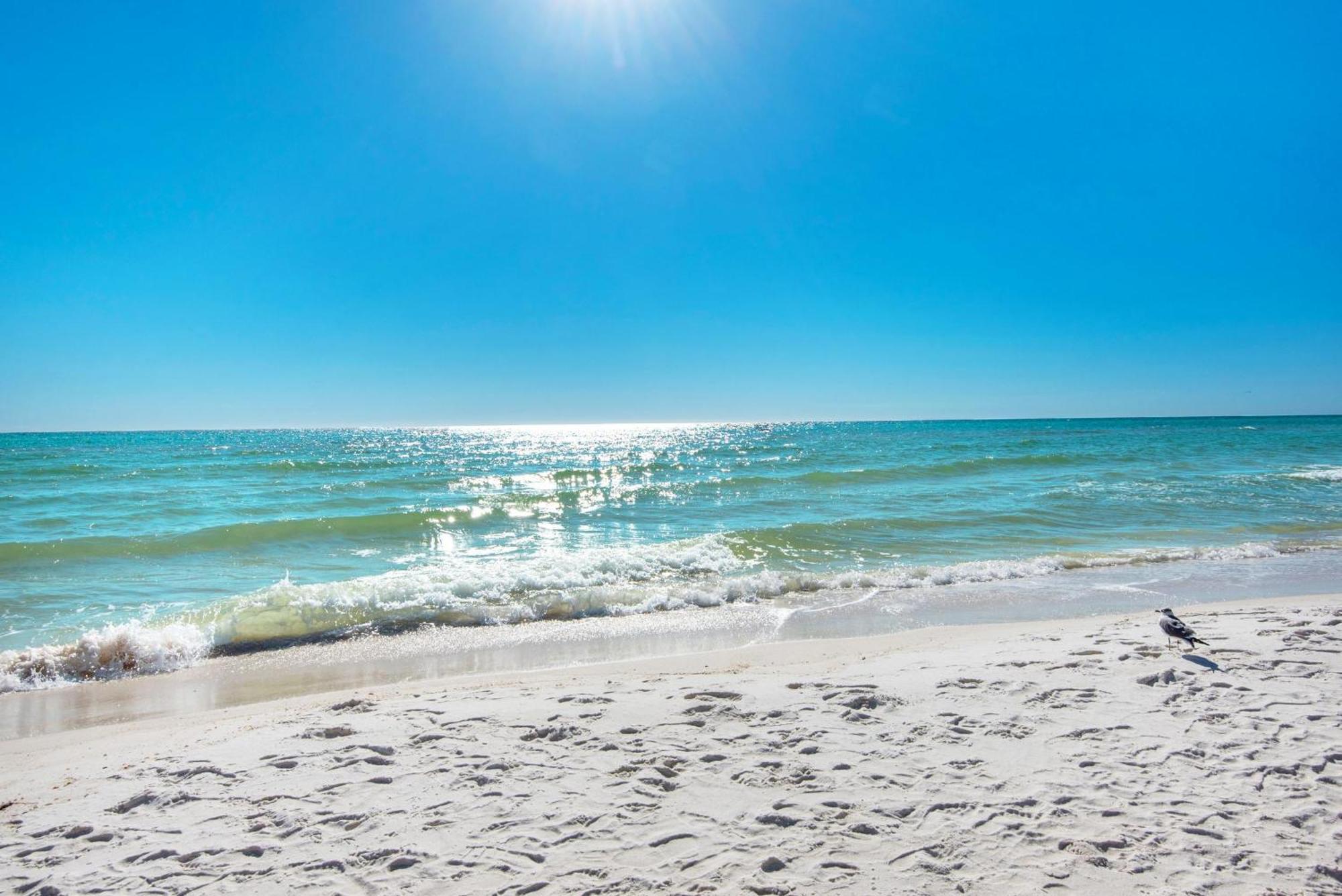 Shores Of Panama 1816 Panama City Beach Ngoại thất bức ảnh